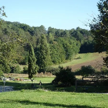 Hallyday At Bassinaud *