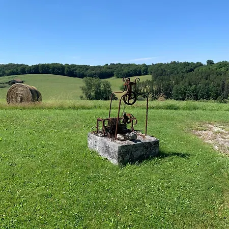 Hallyday At Bassinaud *