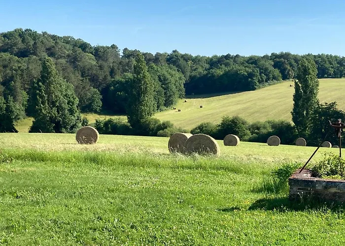 Hallyday At Bassinaud * Juignac