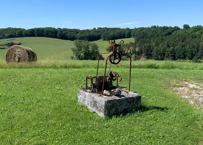 Hallyday At Bassinaud *